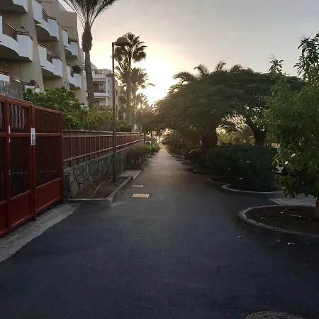 Ruisenor En * Palm-mar
